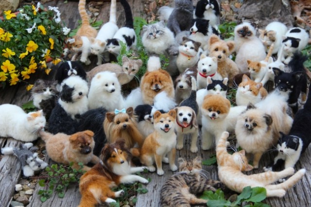 They’re not real?? Felt artist displays collection of mind-blowingly life-like cats and dogs