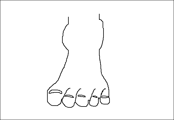 foot numbers 04
