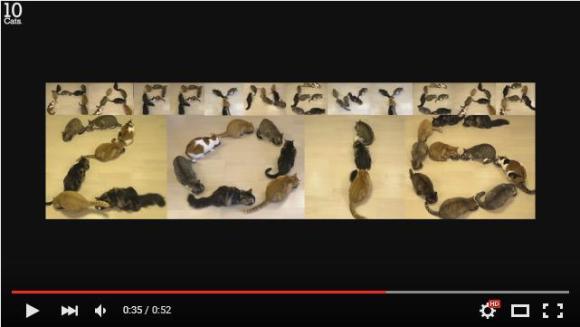 What’s the best way to write “Happy New Year?” With cats, of course!