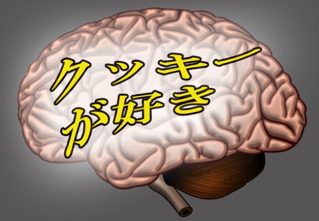 Researchers use uniformity of Japanese language to read people’s minds