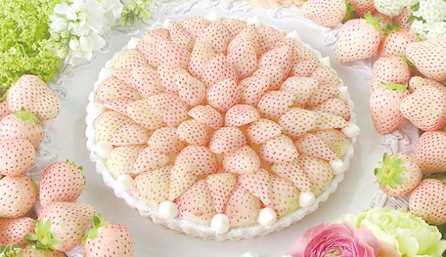 What’s white and sweet and smells like your first love? This tart made from white strawberries!