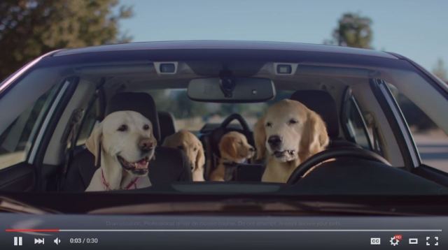 Subaru’s beloved canine family is back in a new and entertaining series of commercials 【Videos】