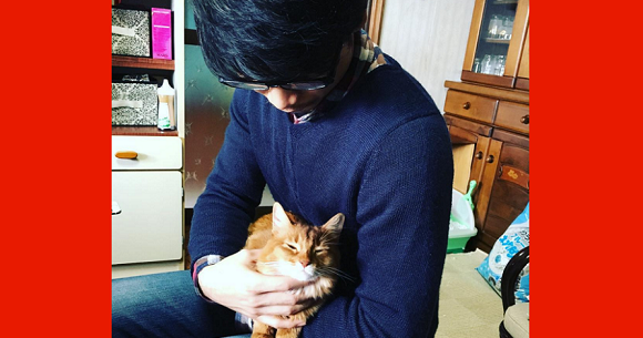 Cat men” and “catnomics” becoming unprecedented trends in Japan