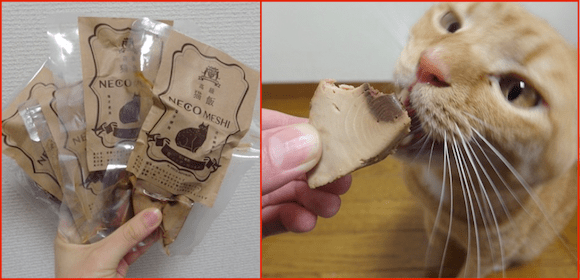 Neco Meshi: The line of Japanese snacks that both you and your cat can eat! 【Taste test】