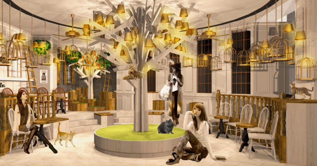 Ultra-fashionable cat cafe set to open this month in Tokyo’s ultra-trendy Harajuku neighborhood