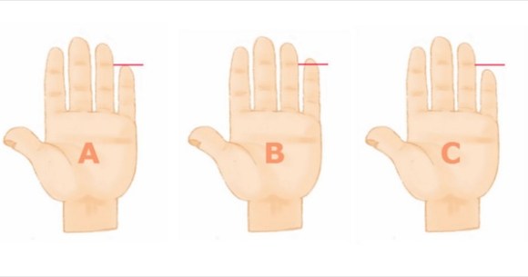 What does your finger length reveal about your personality?