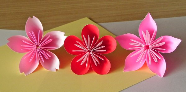 Difference between plum blossom, cherry blossom and peach blossom