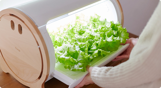 Stylish Japanese home gardening pod lets you grow vegetables indoors with little effort, no soil