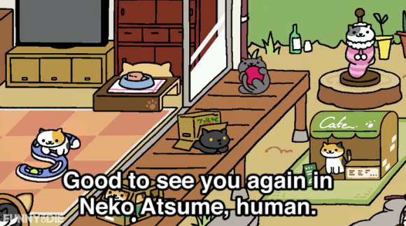 Nurture your inner cat collector with “Neko Atsume” the kitty-catching game  for Android and iOS!
