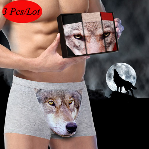 wolf underwear 03