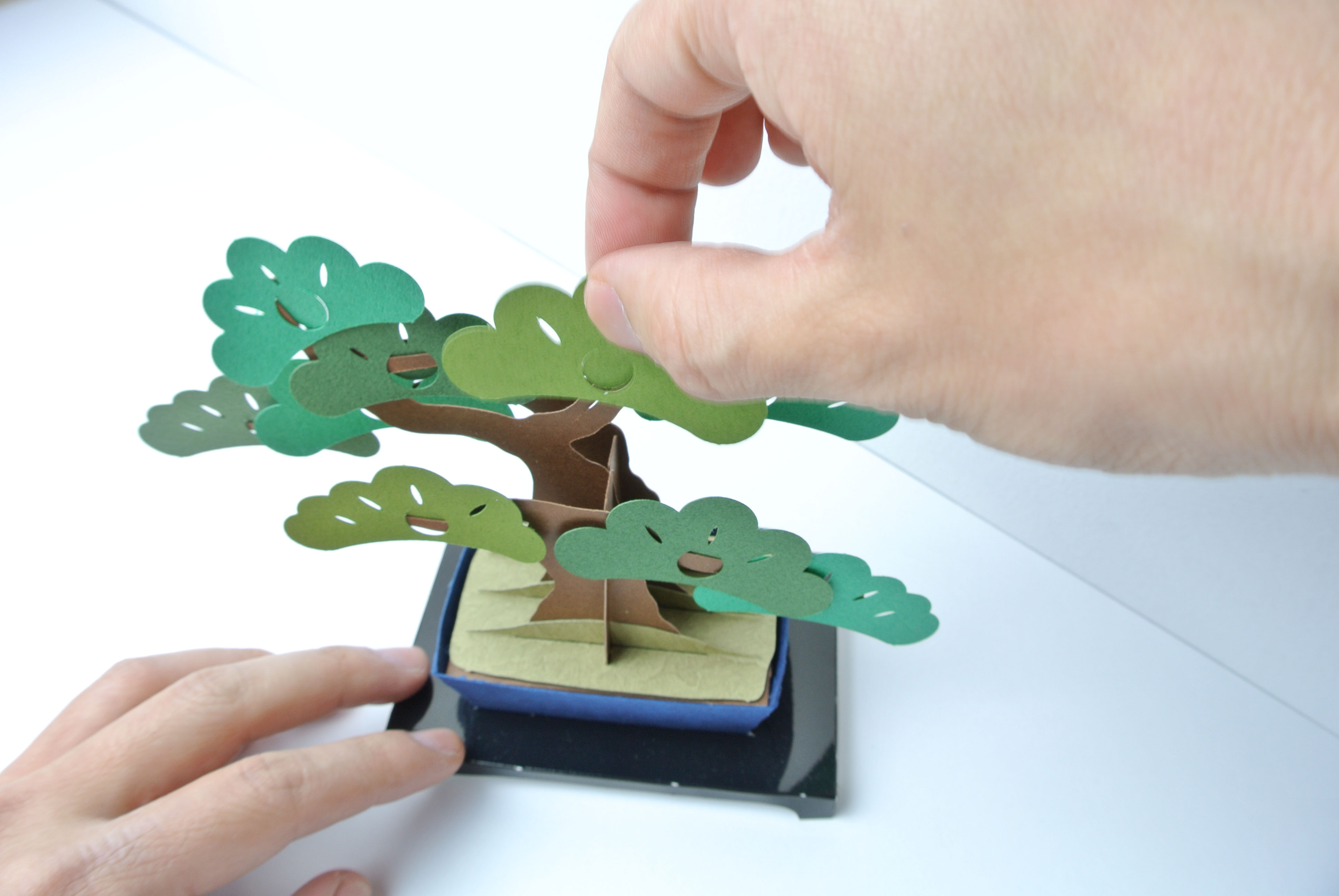 Japanese bonsai trees made from paper stay beautiful without water or