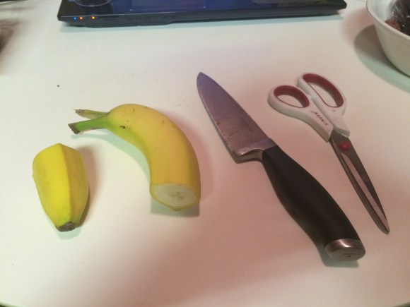 banana dolphin (3)