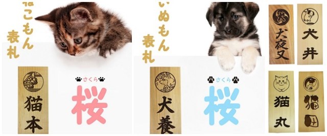 You must love dogs or cats if you decide to use these new house name plates