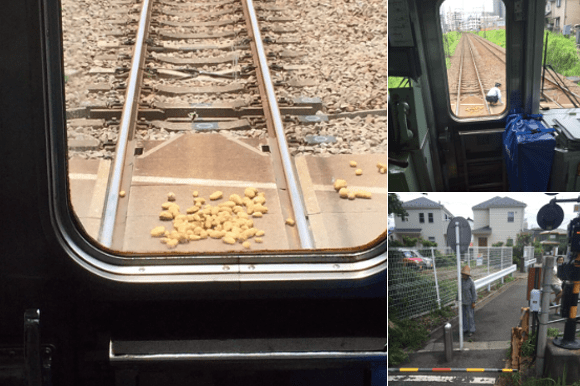 Japanese train stopped in its tracks after elderly resident leaves vegetables in its path