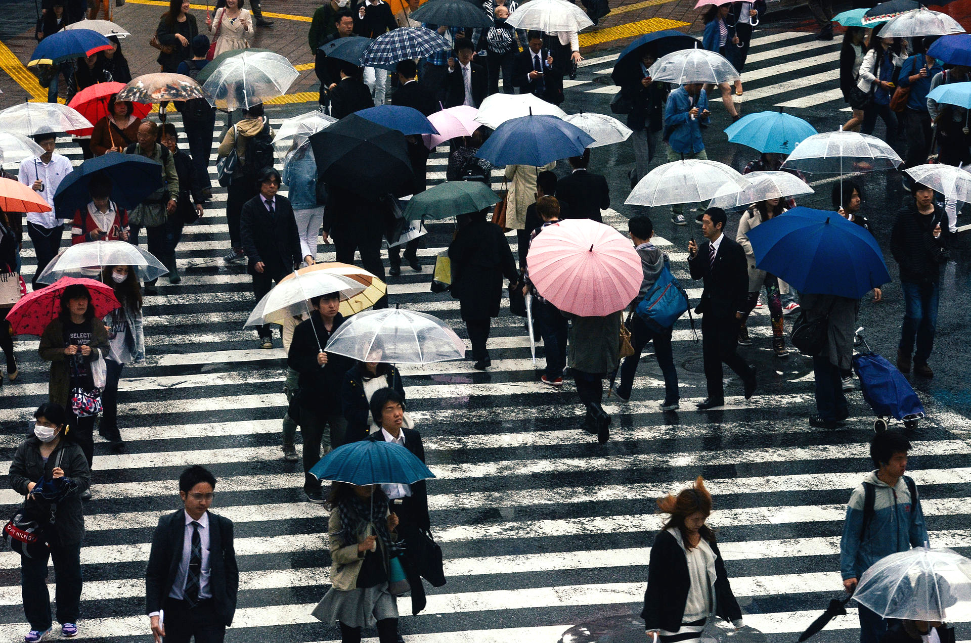 Japanese association loses faith in users following nonreturn of 1,100