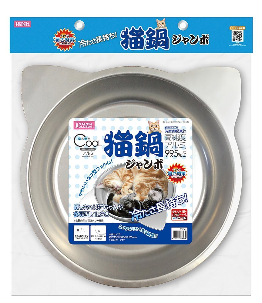 cat dish