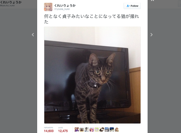 Japanese cat shocks owner with scary impression of Sadako crawling out of television