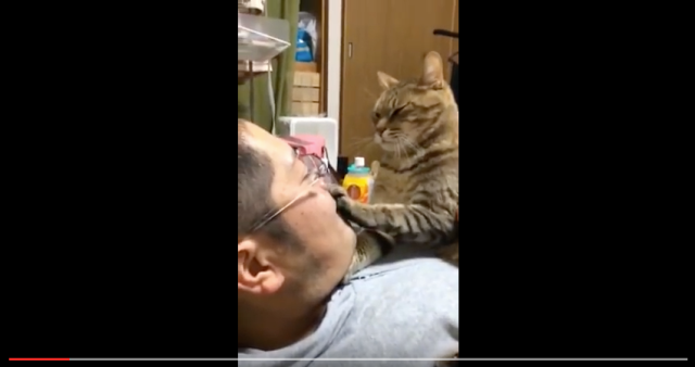 Cute cat can’t stop putting its paw on human’s mouth【Video】
