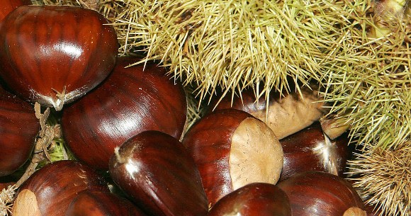 Japanese snack maker releases boxes of chestnuts peeled by hot guys ...