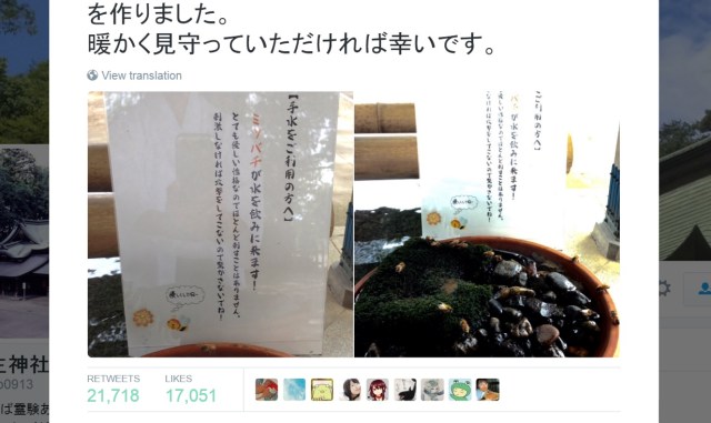 Japanese shrine’s special drinking spot for bees has the internet feeling the warm fuzzies