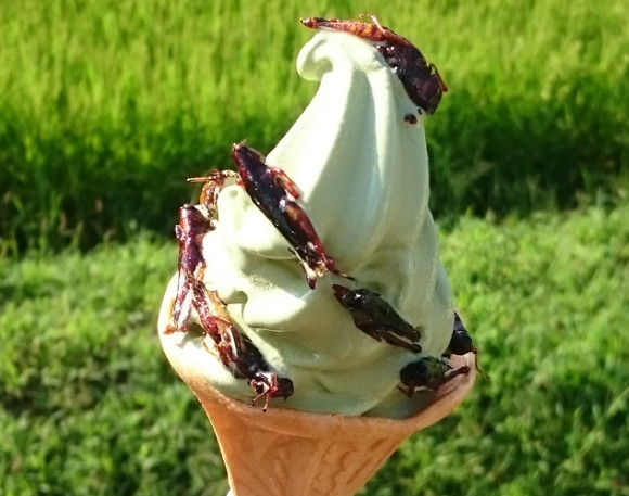 Locust and wormwood soft serve ice cream now available in Japan!