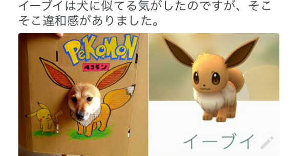 Japanese Pet Owner Illustrates Likeness Between Adorable Shiba Inu And Pokemon Eevee Soranews24 Japan News