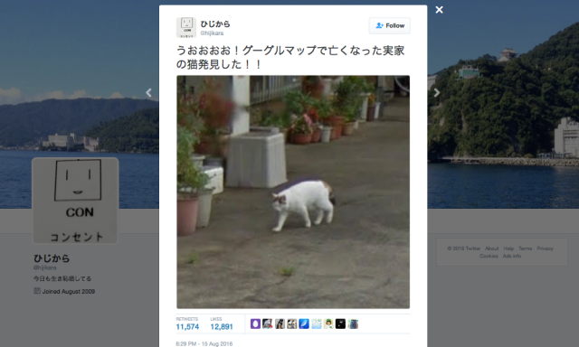 Japanese pet owner’s dead cat miraculously appears on Google Street View