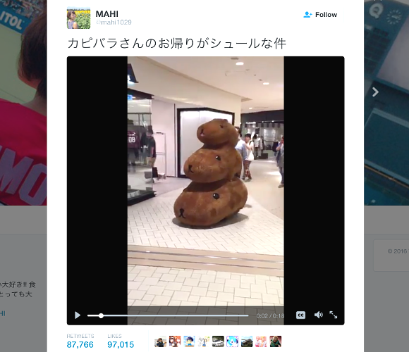 Capybara characters ride on each other’s heads and walk home through Japanese shopping mall