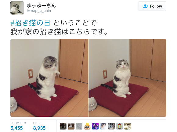 Japanese Twitter celebrates “Beckoning Cat Day” with cute collection of paw-raising cats