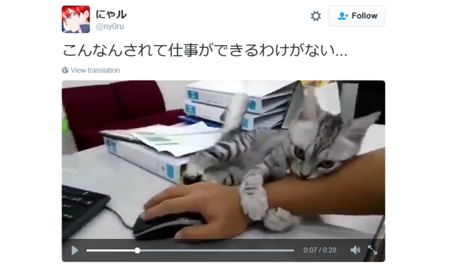 Work-obstructing kitty instigates adorable game of cat and mouse in Japanese office 【Video】