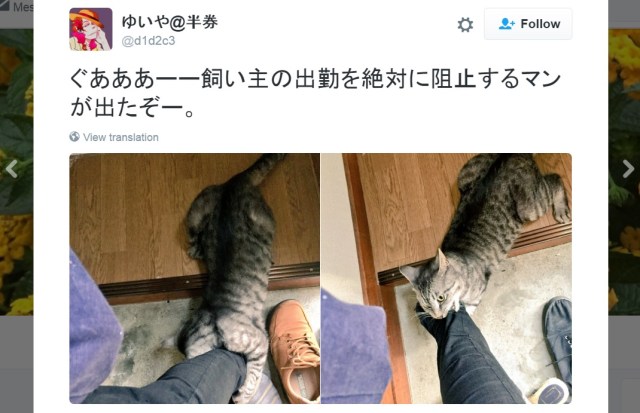 Cute cat reeeeeally doesn’t want his person to leave for work【Photos】