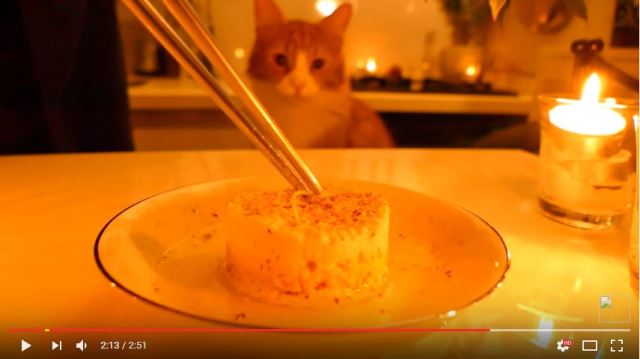 Jun of “Rachel & Jun” prepares gourmet food experiment for his lucky cat【Video】