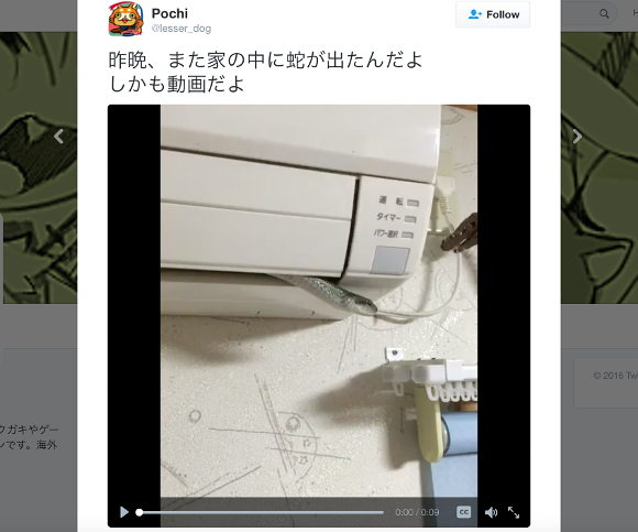 Japanese resident gets a scary visitor through the air conditioner