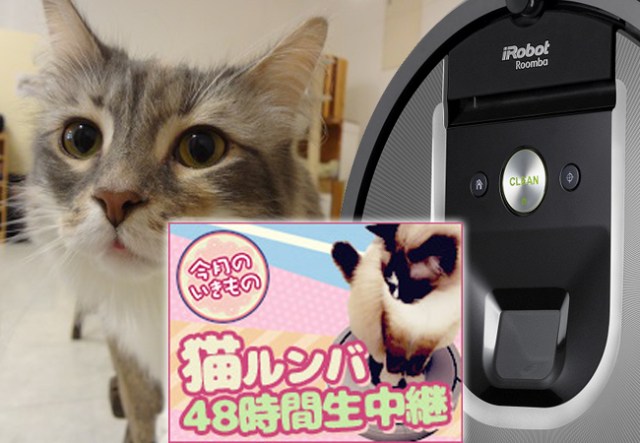 48 Hours of cats and Roombas to be broadcast on Niconico: Can “Cat Roomba Time” be achieved?