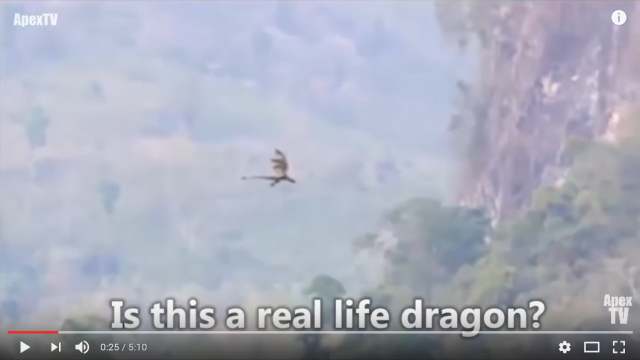 Video shows dragon, or possibly CG modeling class project, flying near mountains in China 【Vid】