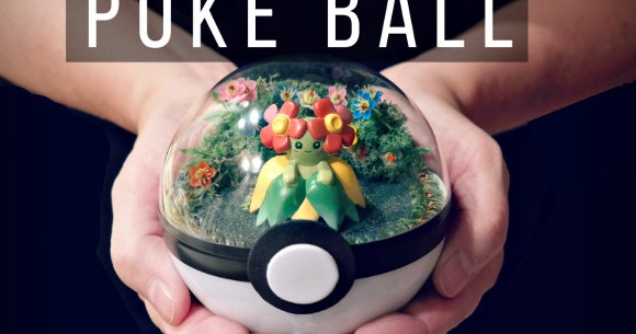 Look into our crystal ball; we see a Pokémon that's right for you!【Pics】