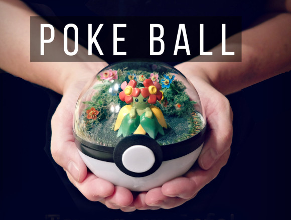 Pokéball terrariums are just as adorable and hard to catch as the Pokémon who inhabit them