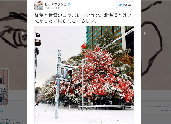 Rare April snowfall in China the first in 30 years, causes havoc on the