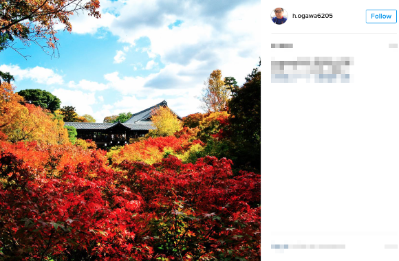 Kyoto temple bans photography at famous autumn foliage viewing spots