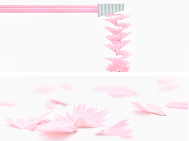 Sharpening these colored pencils will give you beautiful flower petals