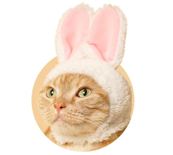 Comfortable Cat Cap Meoliny Soft Pet Hat with Cute Bunny Ears for Family Photo Shoot 