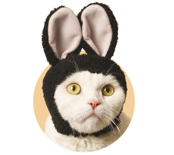 Cats cosplay as bunnies in Japan with new capsule toy feline hat ...