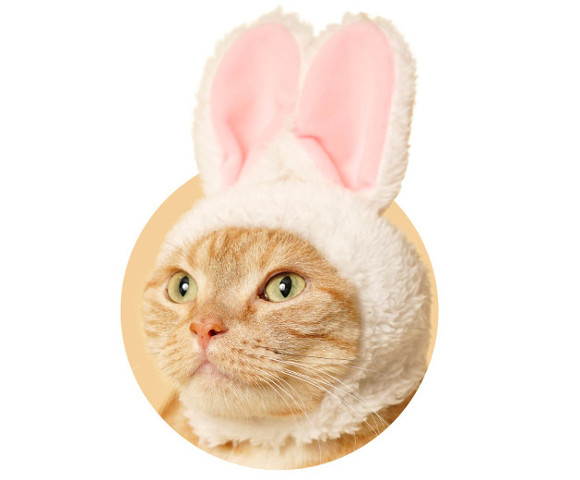 Cats cosplay as bunnies in Japan with new capsule toy feline hat ...