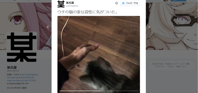 This cat has a super cute reaction to Japanese owner’s beckoning hands 【Video】