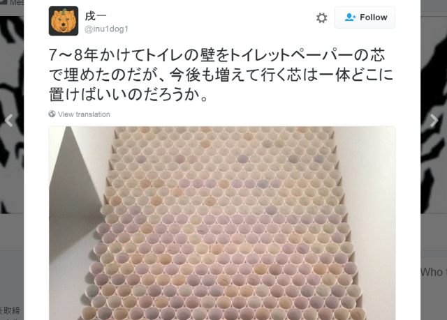 Japanese Twitter user spends eight years stacking toilet paper cores, completes entire wall
