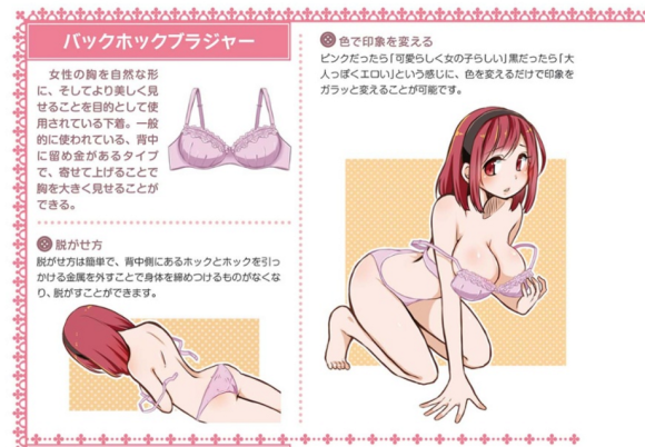 Anime-style illustrated manual explains how take off a woman's clothes |
