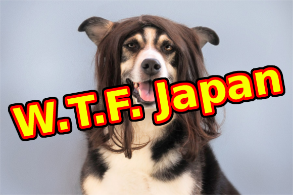 W.T.F. Japan: Top 5 most famous pet dogs in Japan【Weird Top Five】