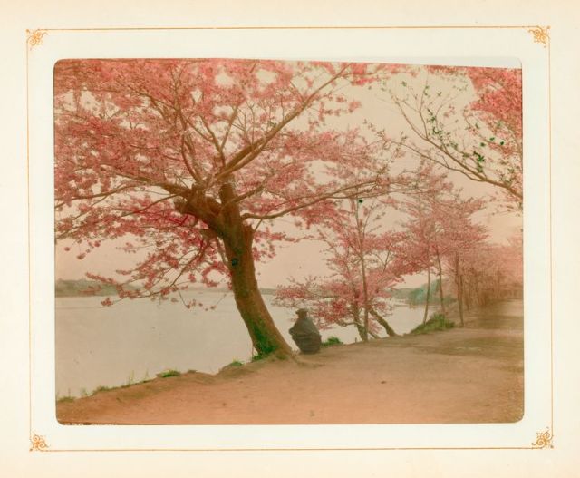 Gorgeous colorized photos show daily life in Meiji Era Japan