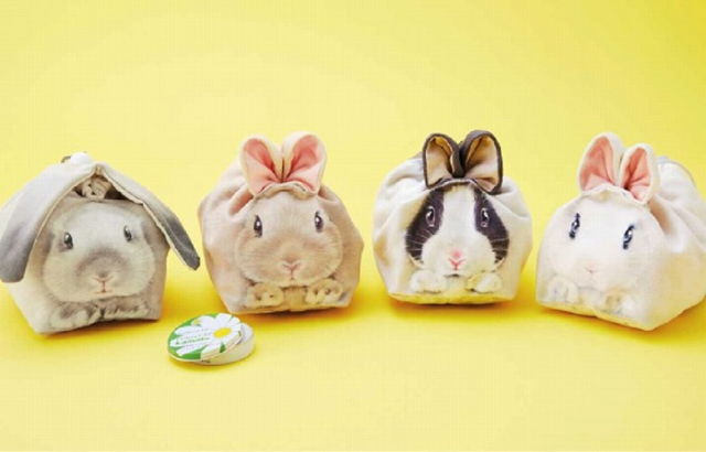Cuteness knows no boundaries with new bunny bags for all your small belongings
