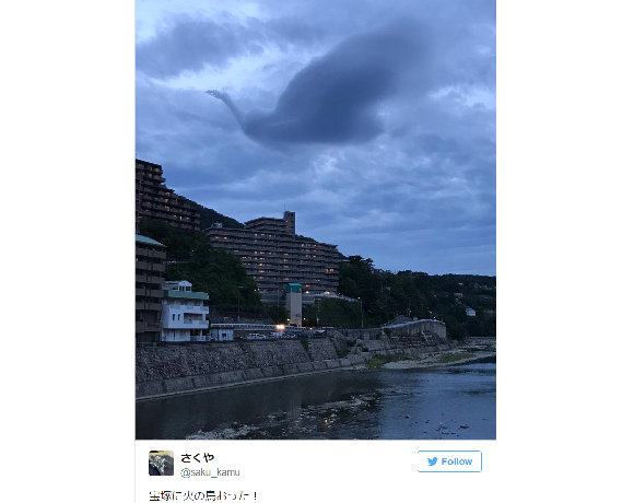 Divinely beautiful phoenix appears in the clouds over god of manga’s childhood home in Japan
